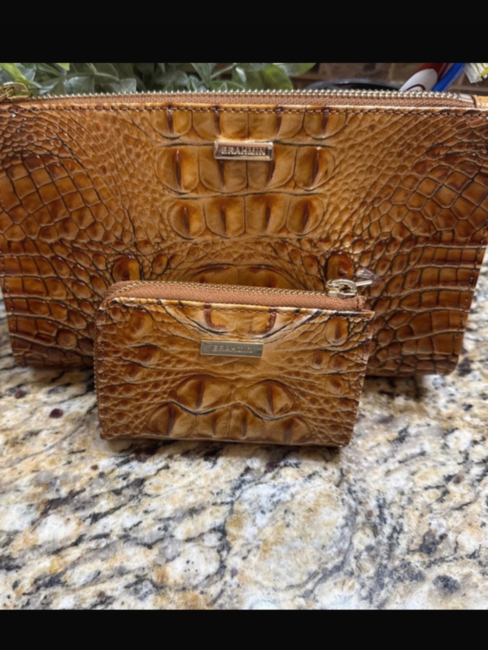 Brahmin Tan Embossed Leather Wristlet and Card Pouch Set